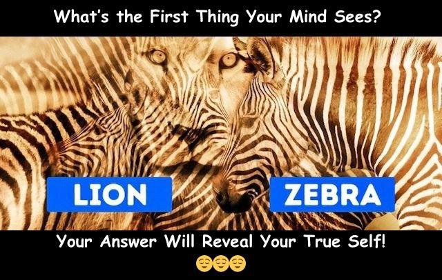 Lion or Zebra? Your first glimpse reveals if you're an introvert who enjoys quiet moments or an extrovert seeking new adventure