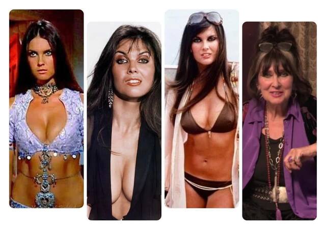 The Immortal Elegance of Caroline Munro: A Masterclass in Cinematic Resilience at 77